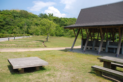 田の浦公園オートキャンプ場 写真7