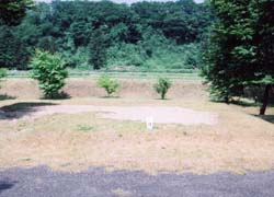 鳥野目河川公園オートキャンプ場 写真6