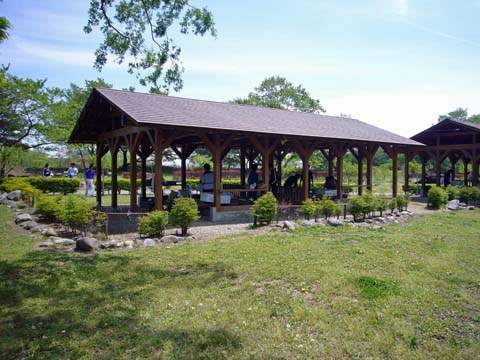 鳥野目河川公園オートキャンプ場 写真8