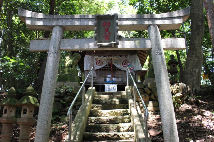 多鯰ヶ池