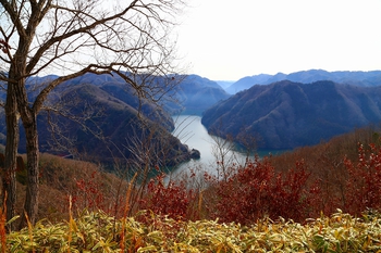 RVパーク西山高原（RVパーク） 写真3