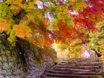 RVパークsmart 岡城跡（RVパーク） 写真5