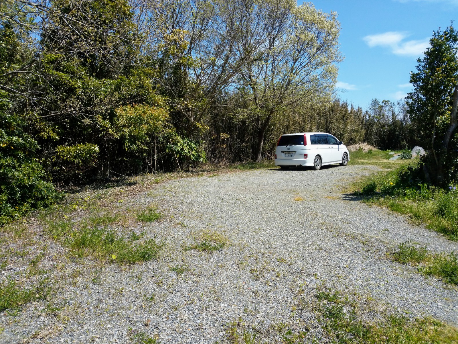 salon pheasant(サロンフェーザント)(Carstay) 写真2