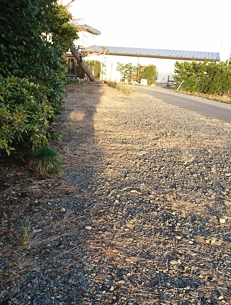 おおみや園芸(Carstay) 写真2