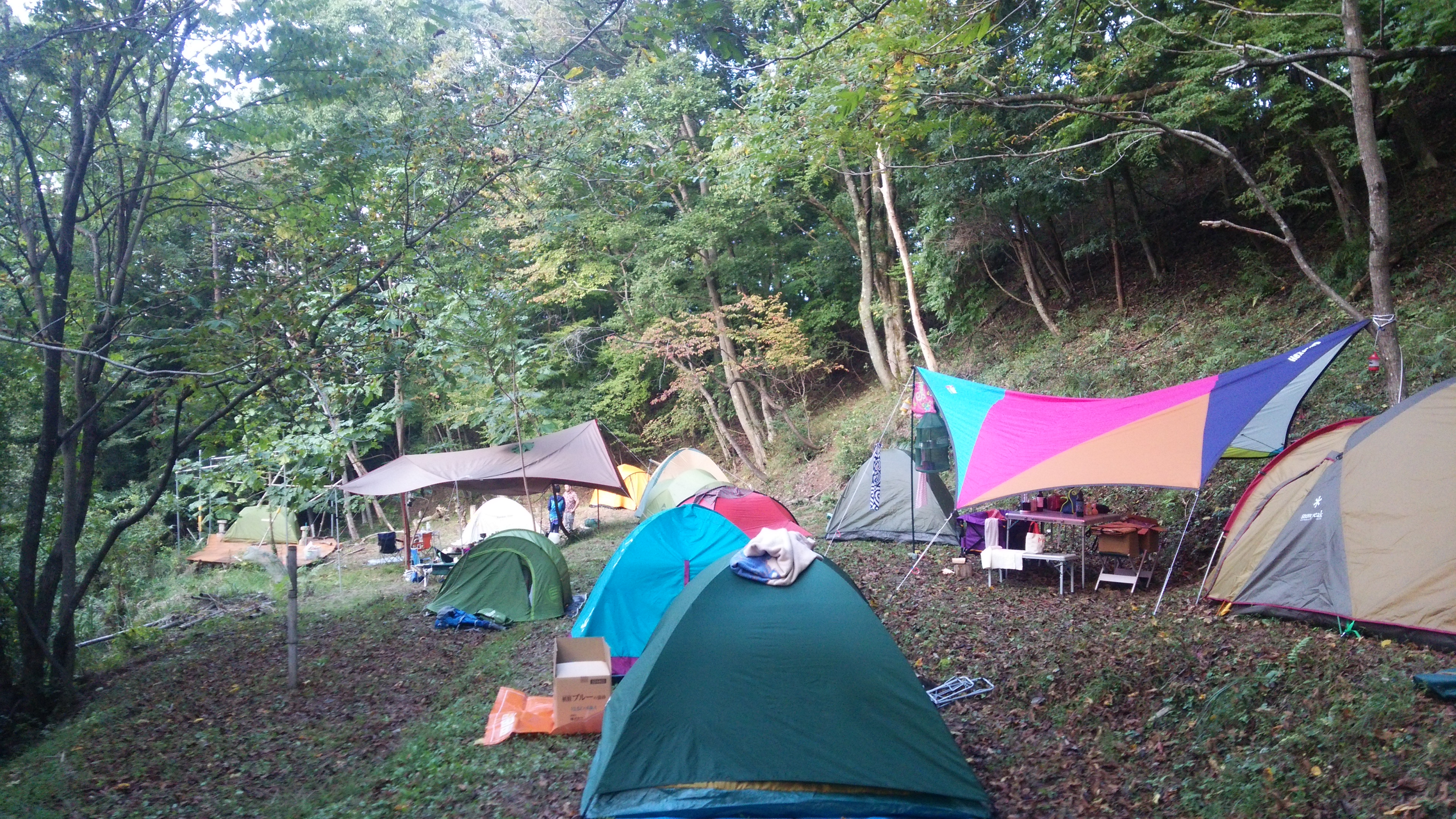 晴家村キャンプ場(Carstay) 写真3