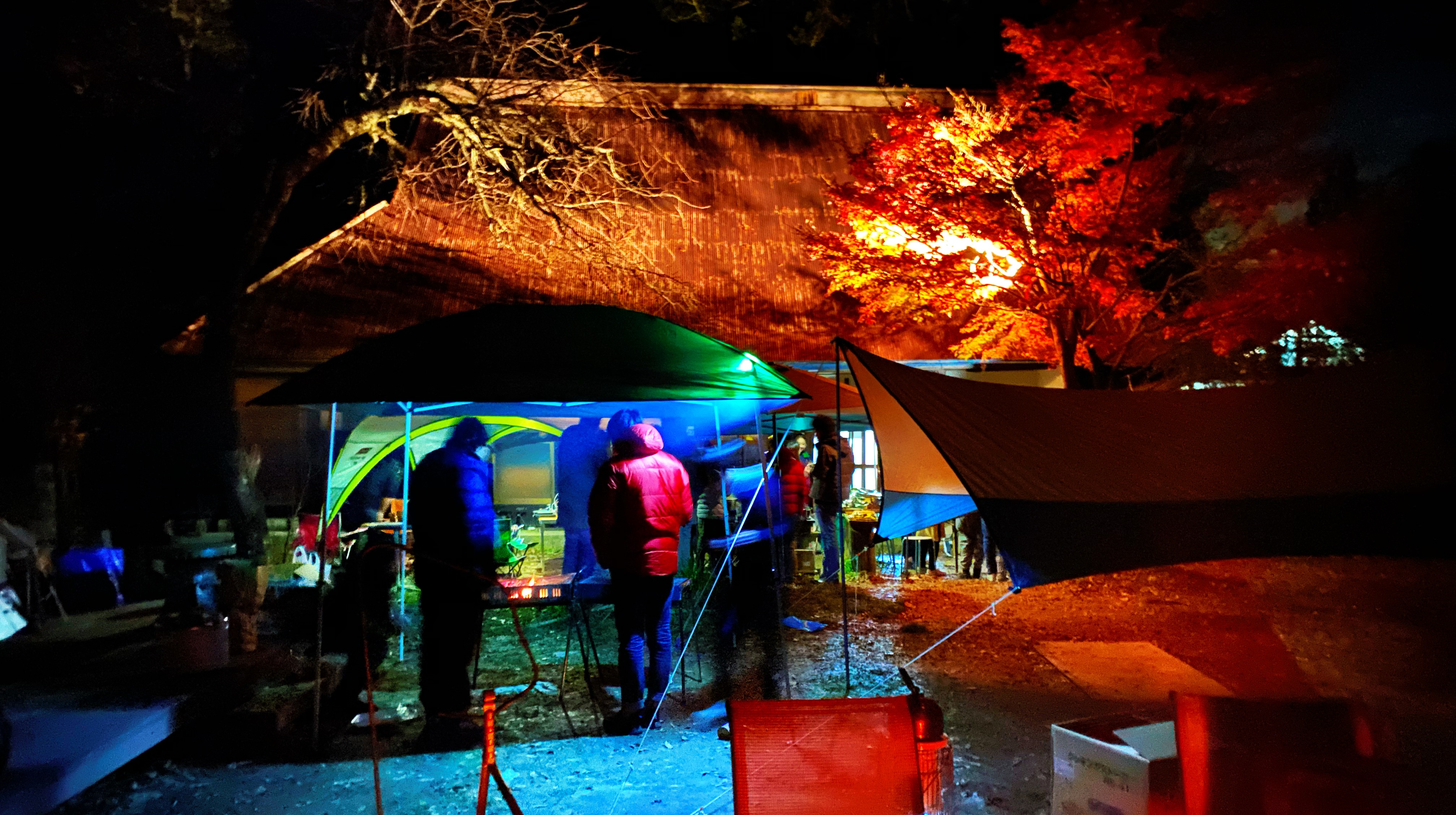 晴家村キャンプ場(Carstay) 写真5