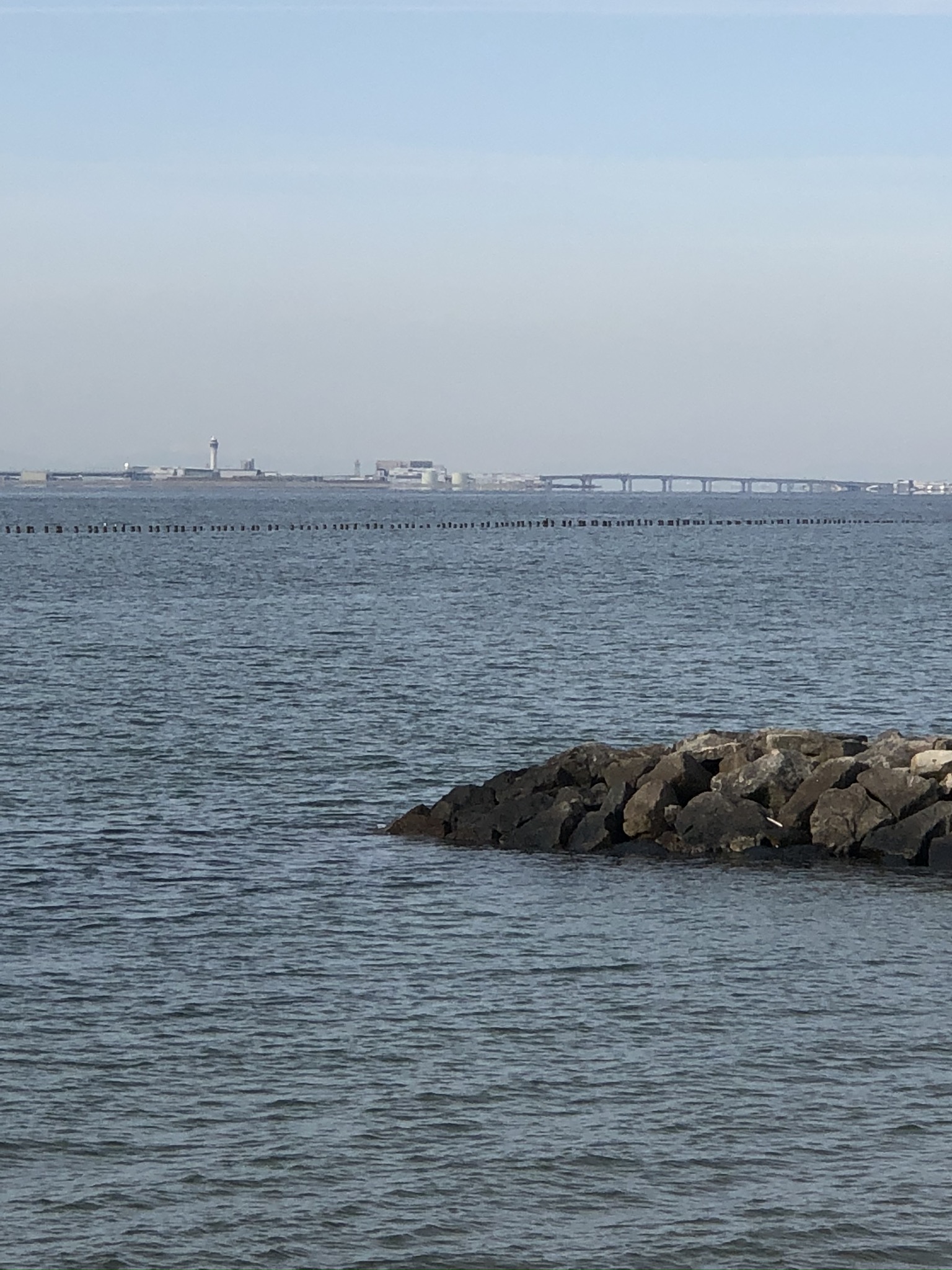 知多美浜 野間海岸ステーション(Carstay) 写真5