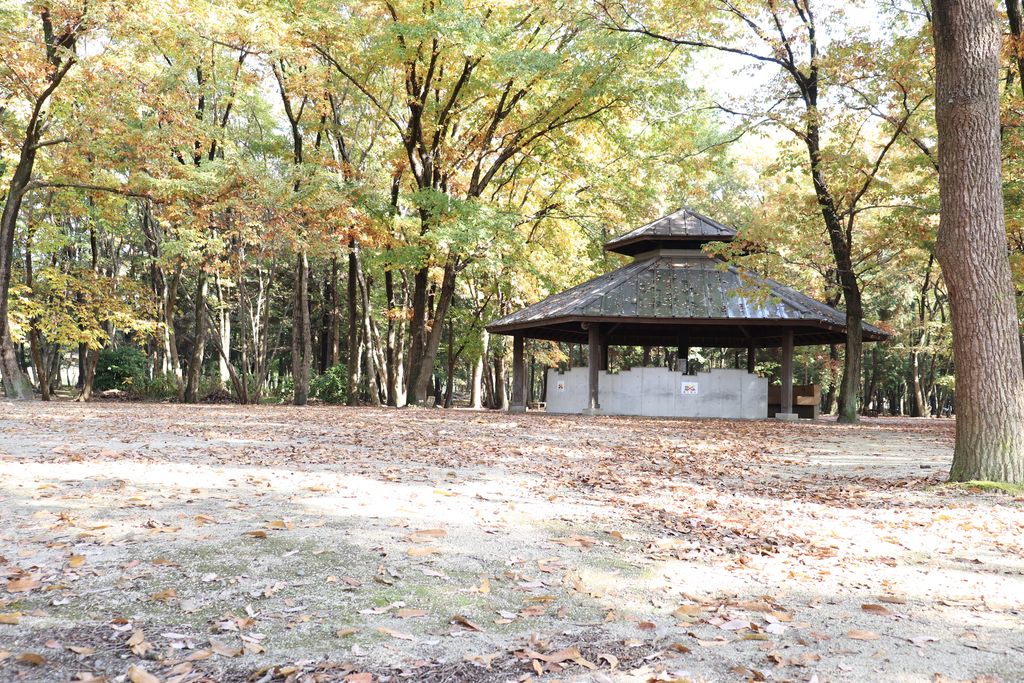 八千代グリーンビレッジ 憩遊館(Carstay) 写真2