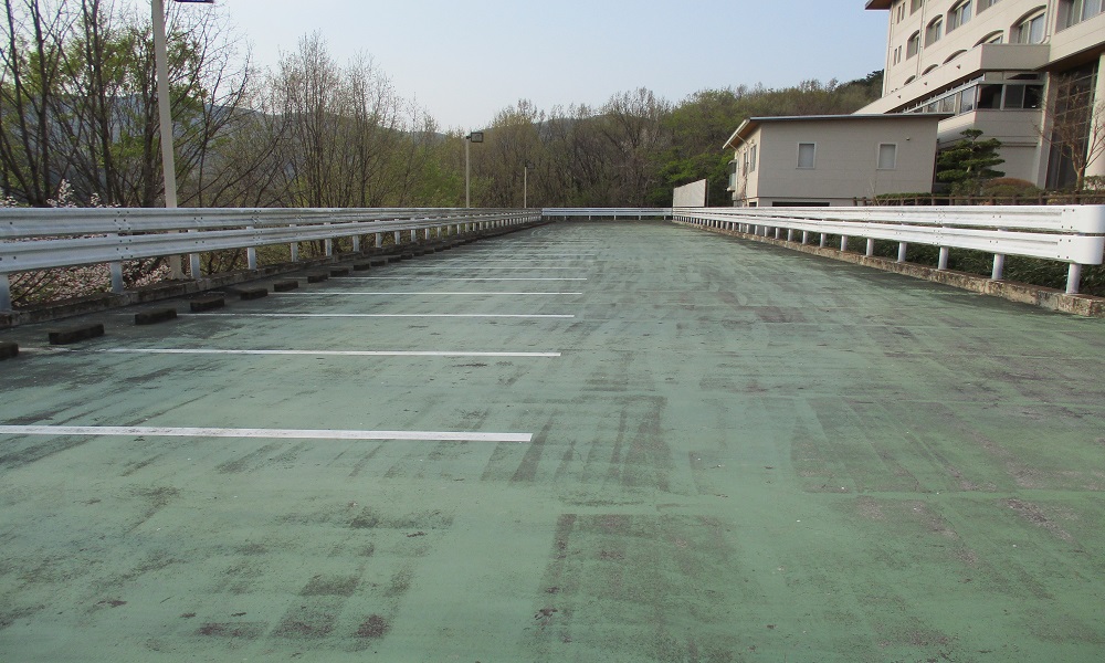 湯YOUパーク かんぽの宿寄居（埼玉県）(Carstay) 写真3