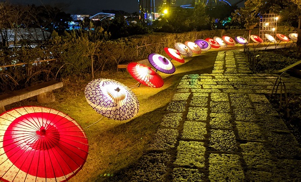よみうりランド イルミネーション HANAあかり 写真3