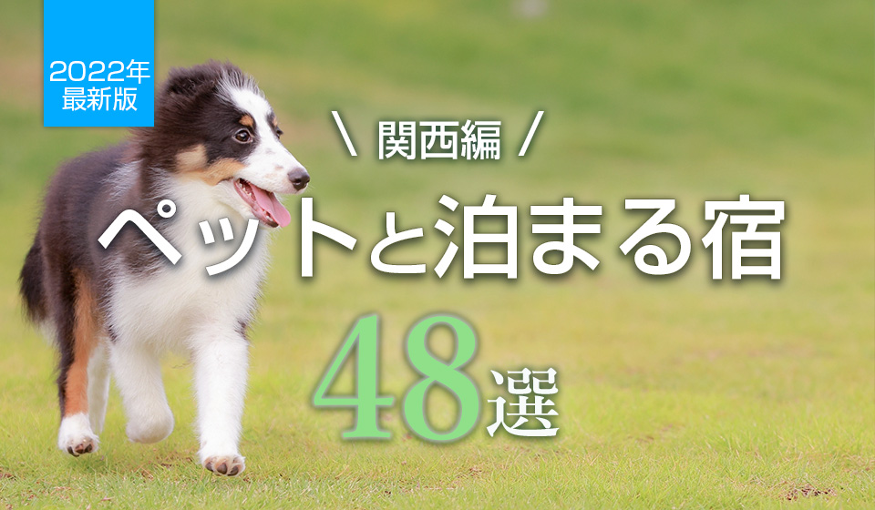 関西 ペット連れに人気のホテル ベスト48 大型犬も歓迎 くるまの旅ナビ