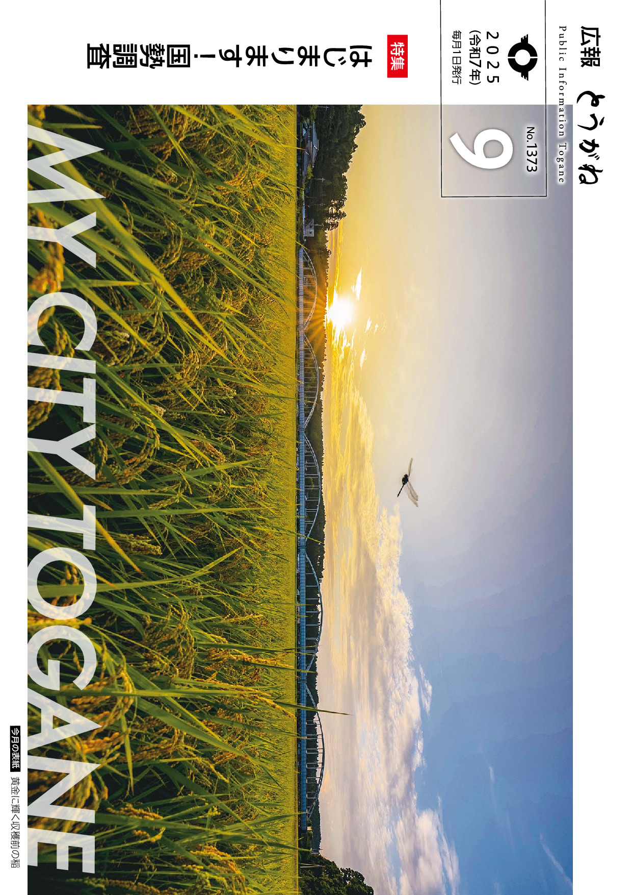 令和７年９月号