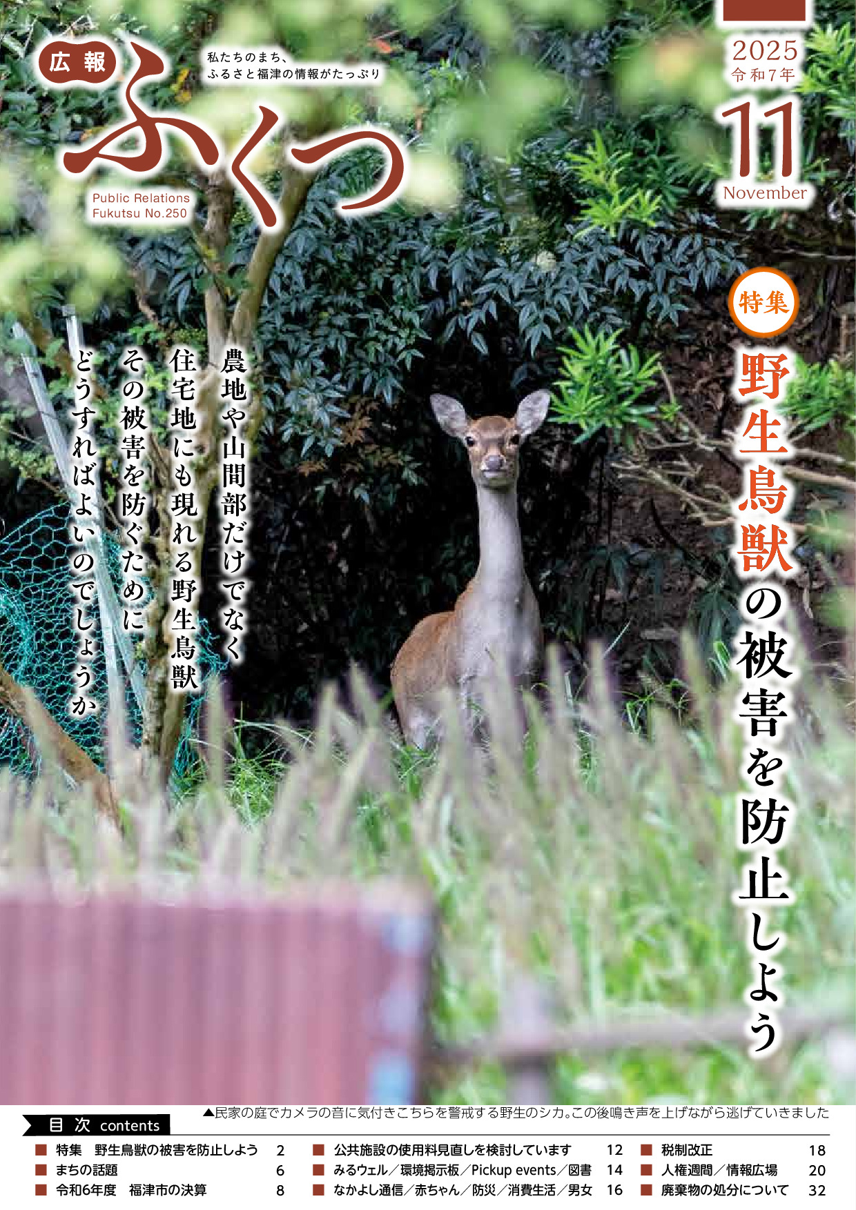 令和７年１１月号