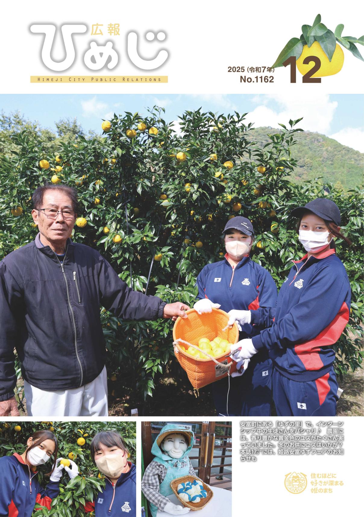 令和７年12月号