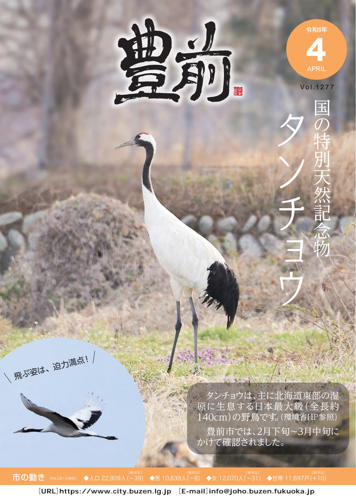 2026年4月