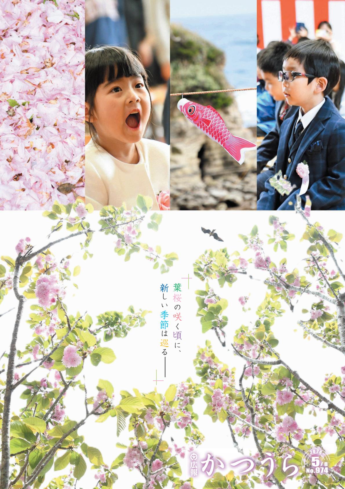 令和8年5月8日号