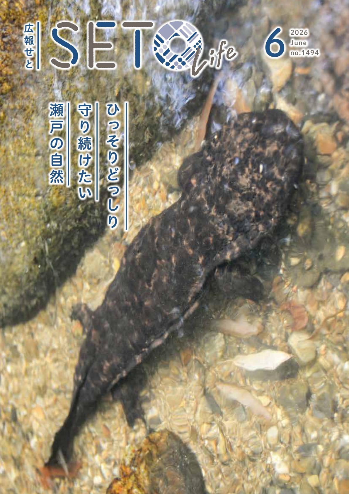 最新号表紙