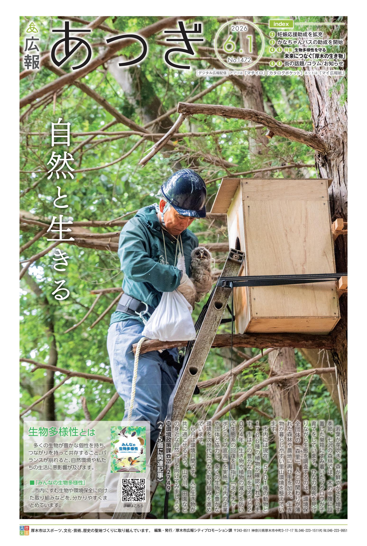 2026年6月1日号
