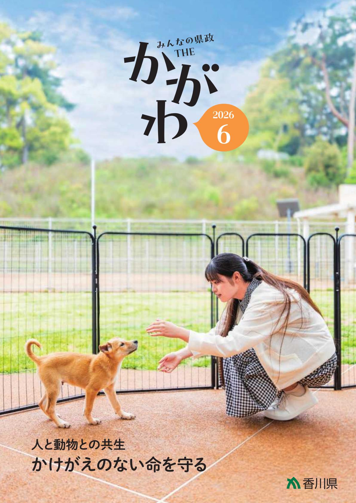 最新号表紙