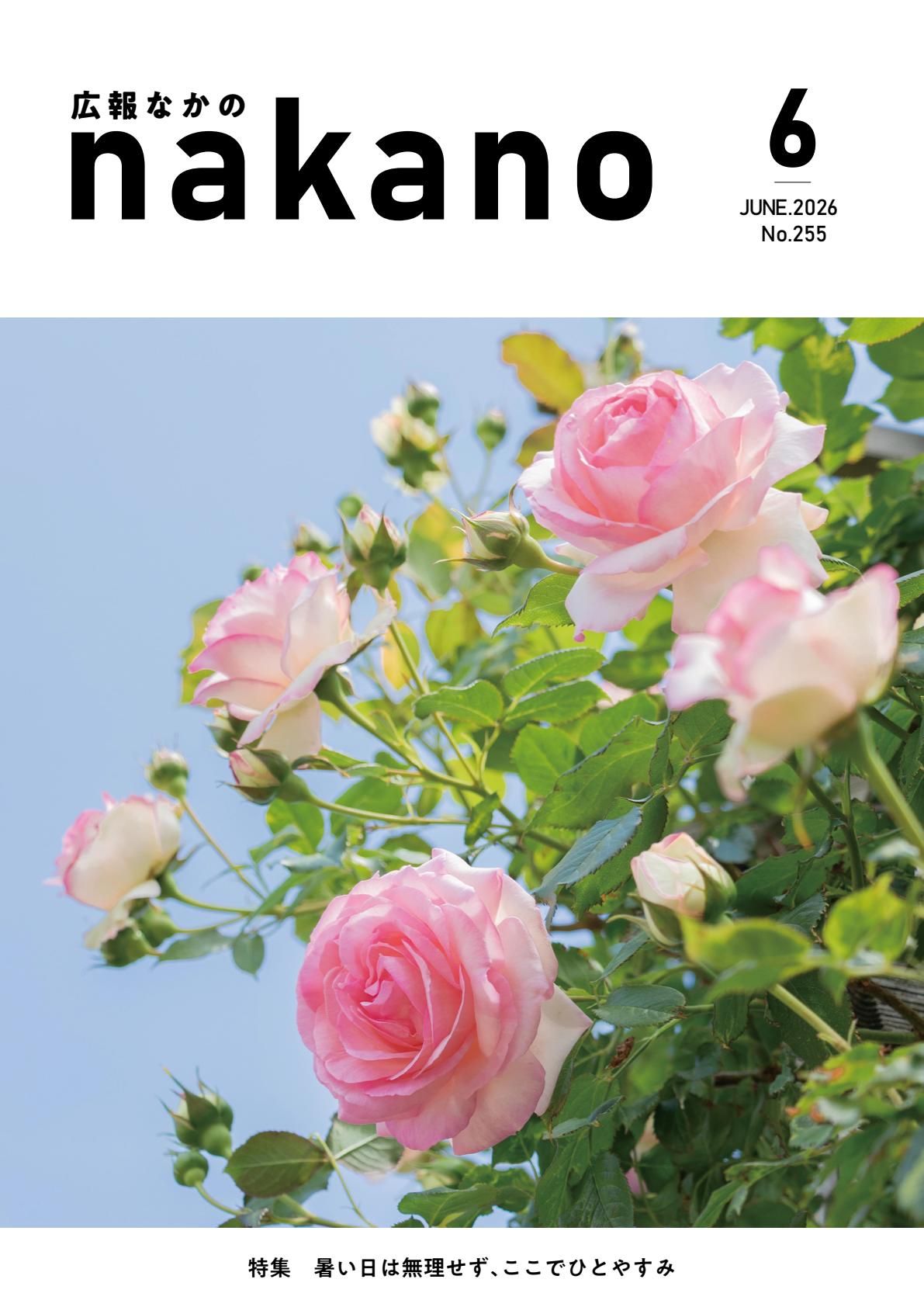 最新号表紙