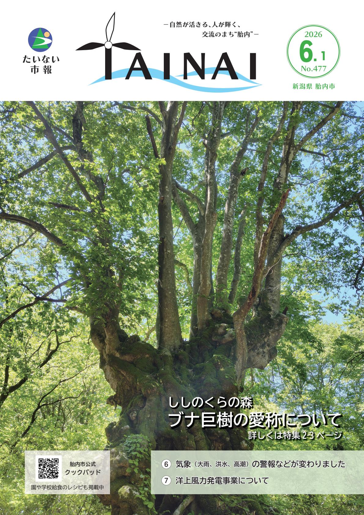 令和８年６月１日号