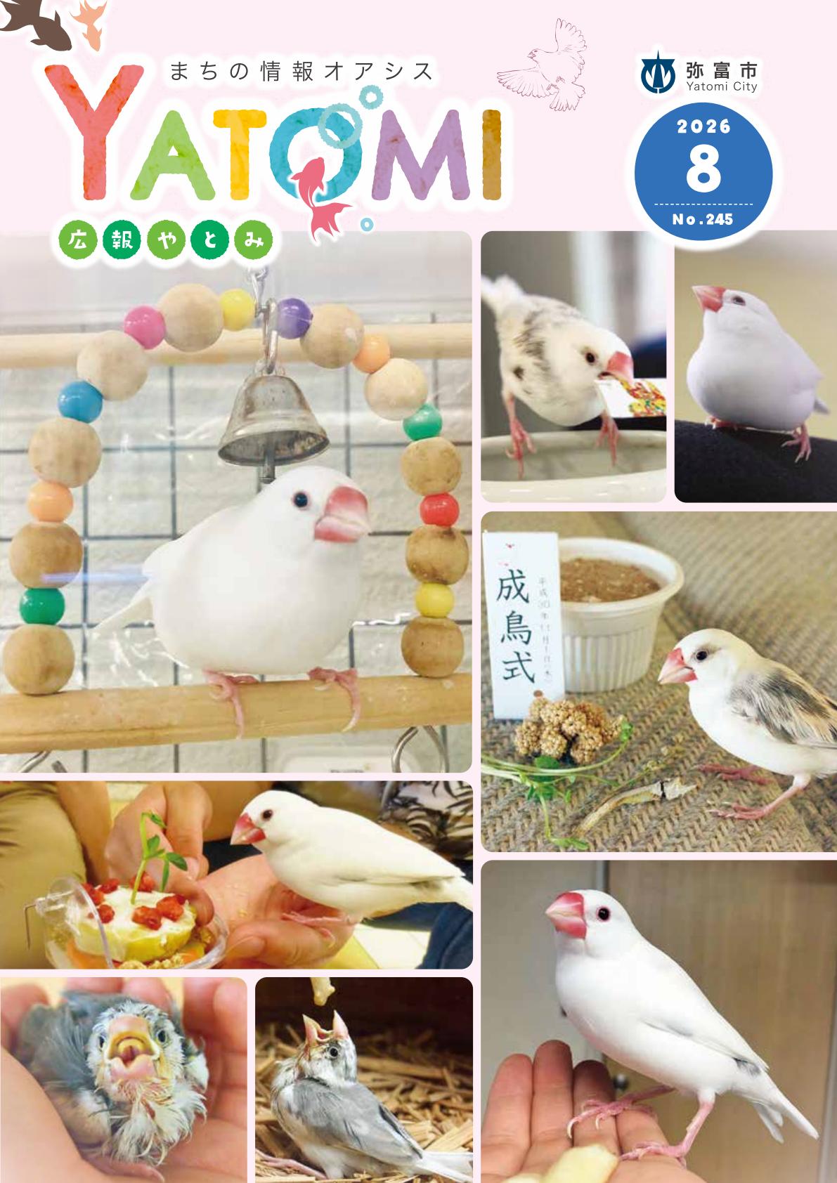 最新号表紙