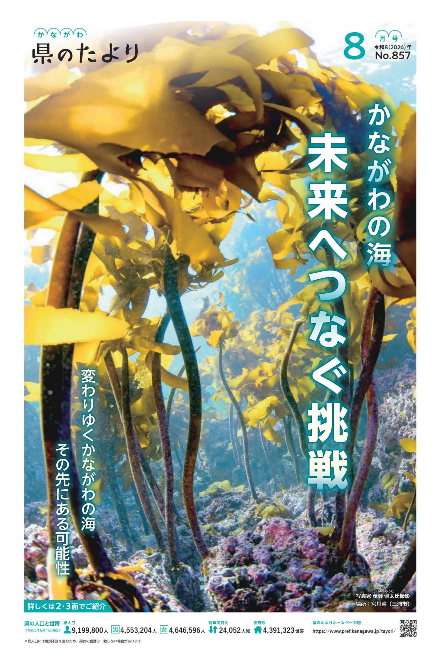 最新号表紙