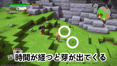 ドラクエビルダーズ2 色々な木を育てられる どんぐり の使い方と集め方 Dqb2 攻略大百科 ドラクエビルダーズ2 色々な木を育てられる どんぐり の使い方と集め方 Dqb2 攻略大百科