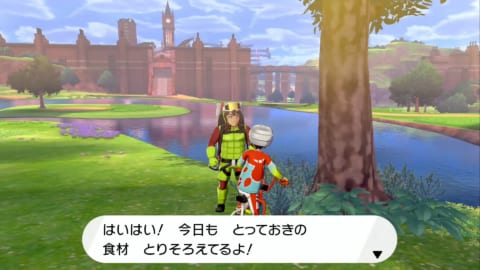 ソードシールド カレーライスの食材一覧 入手方法 できるカレーの種類など ポケモン剣盾 攻略大百科