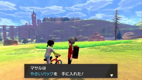 ソードシールド カレーライスの食材一覧 入手方法 できるカレーの種類など ポケモン剣盾 攻略大百科