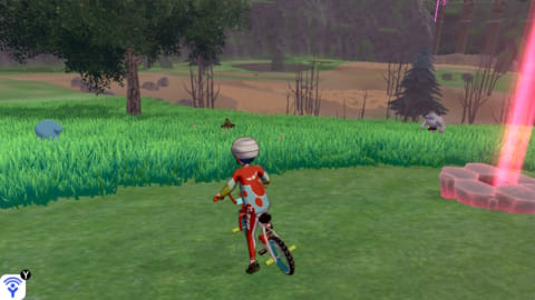 ソードシールド 効率良く図鑑を埋めるコツまとめ ポケモン剣盾 攻略大百科