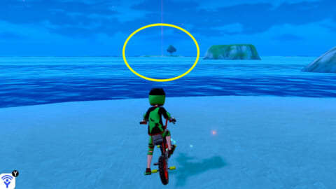 ソードシールド ミントが拾える島への行き方 Dlc 鎧の孤島 ポケモン剣盾 攻略大百科