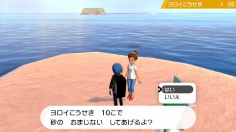 ソードシールド 努力値リセット まっさらおねえさん の場所とやり方 Dlc 鎧の孤島 ポケモン剣盾 攻略大百科