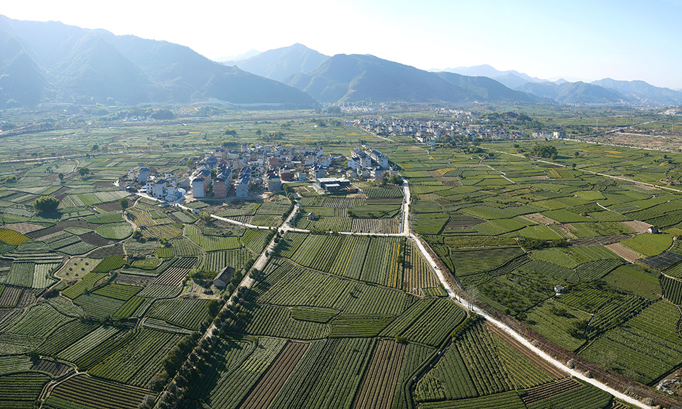 Aerial view of Xing Village and the agricultural fields around the factory