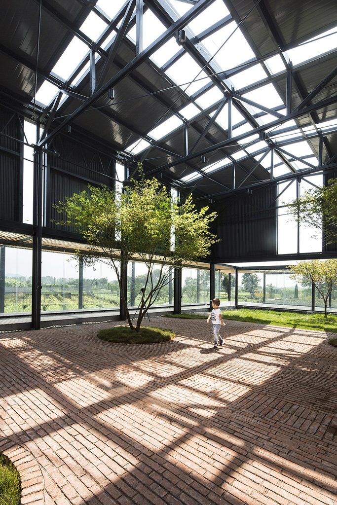 Sunlight across brick paving beside trees in the leisure hall