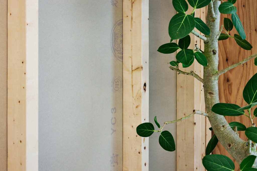 Plant beside a timber column