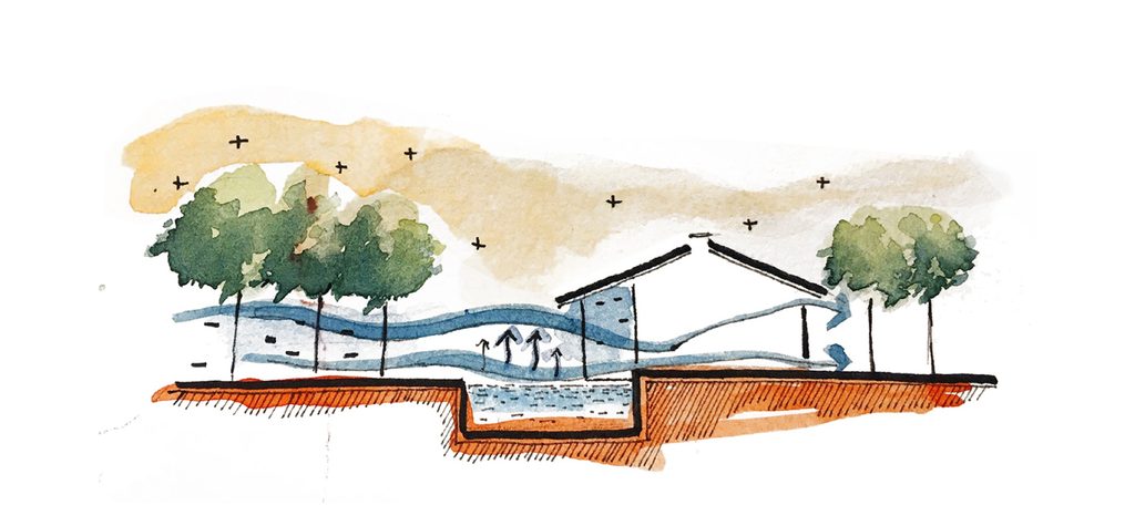 Architectural illustration drawing 5 of Am House