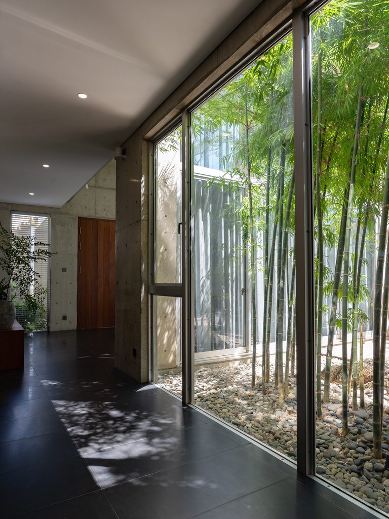 Corridor along glazing beside the bamboo garden