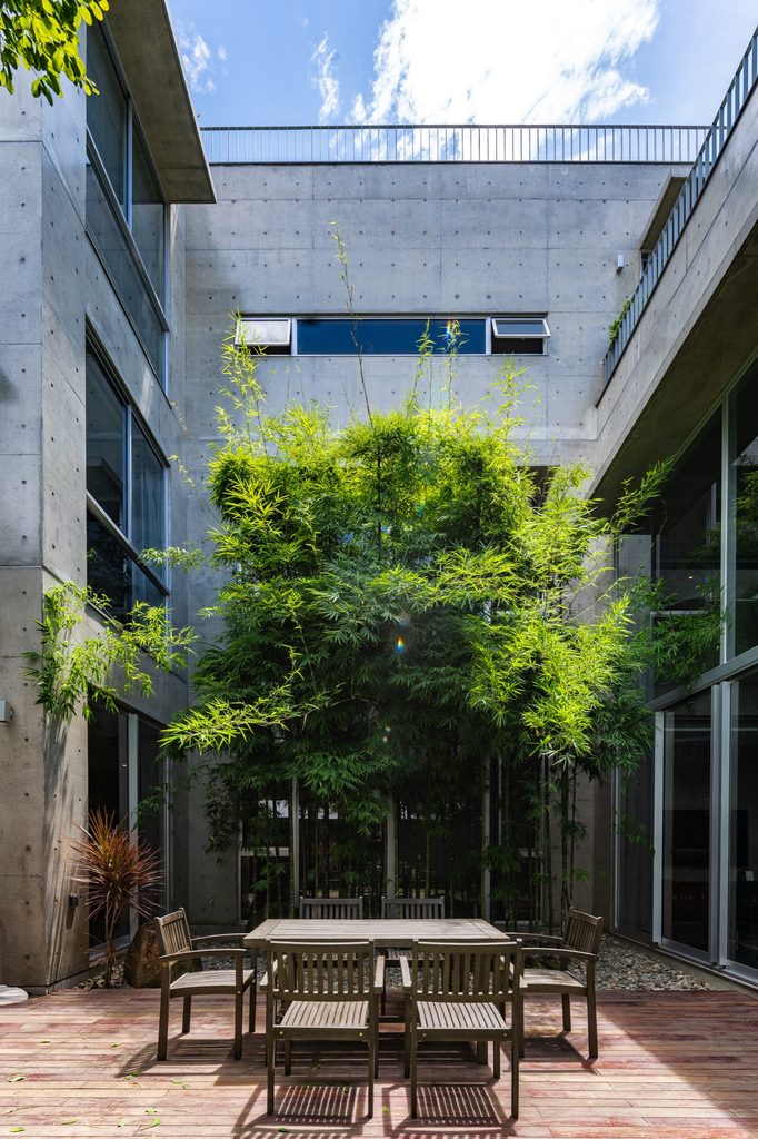 Courtyard seen from above with dining table and tree