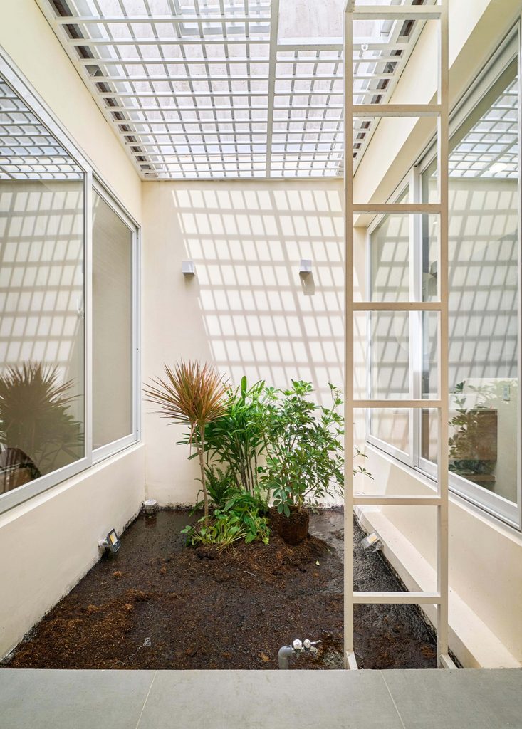 Planted lightwell with a white steel ladder and grille