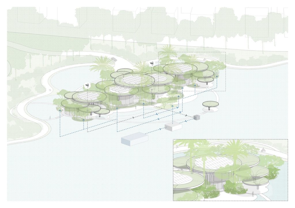 Landscape diagram of the green roofs and planting
