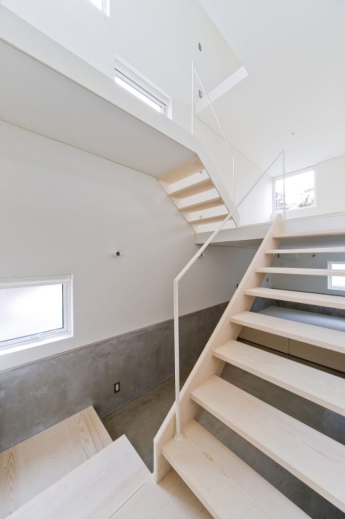 Timber stair in the buffer zone