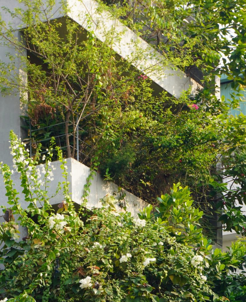 Planters and climbers at the floor edges