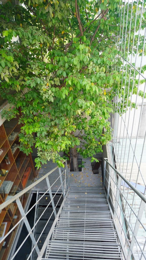 Steel walkway through hanging plants