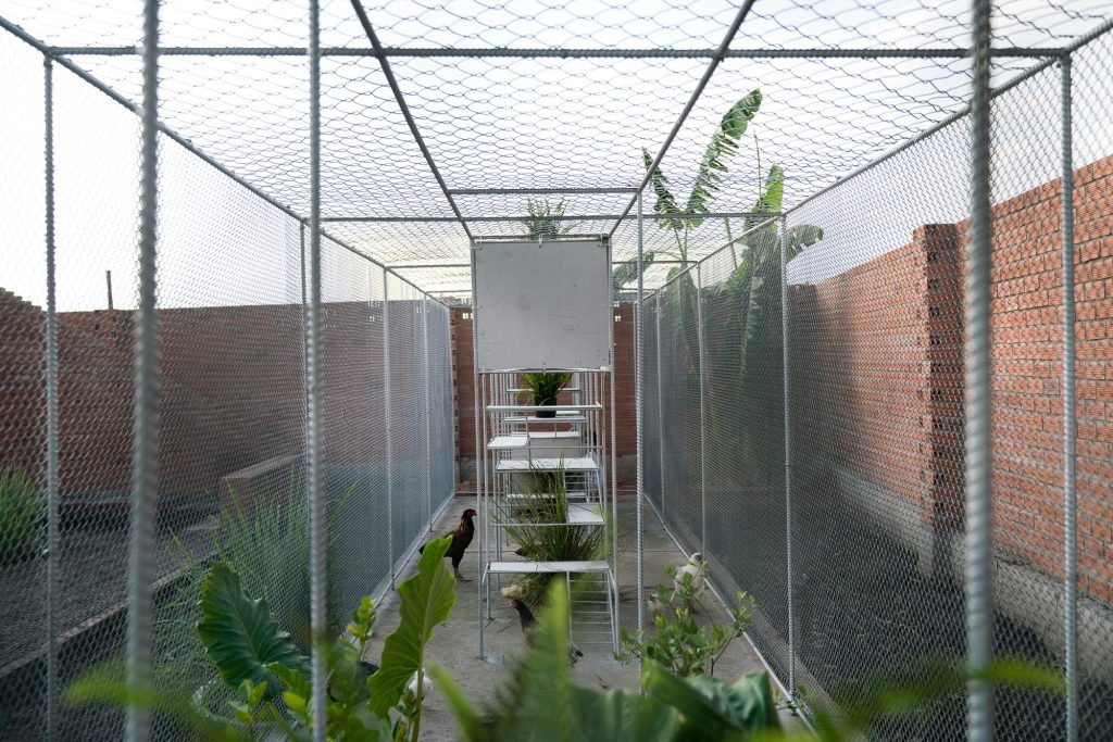 Steel frame and mesh along the garden wall