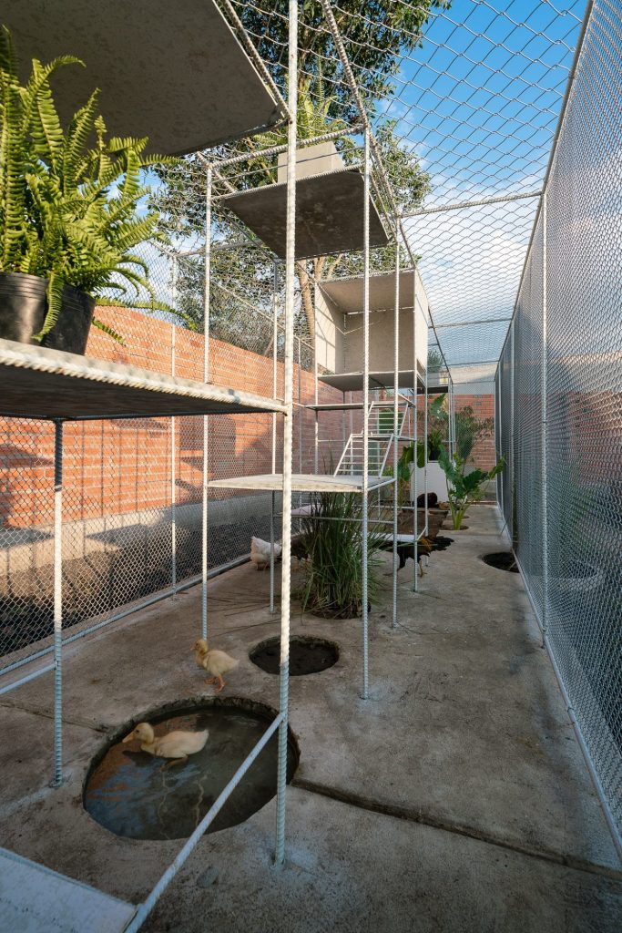 Mesh wall, planting and the round pool