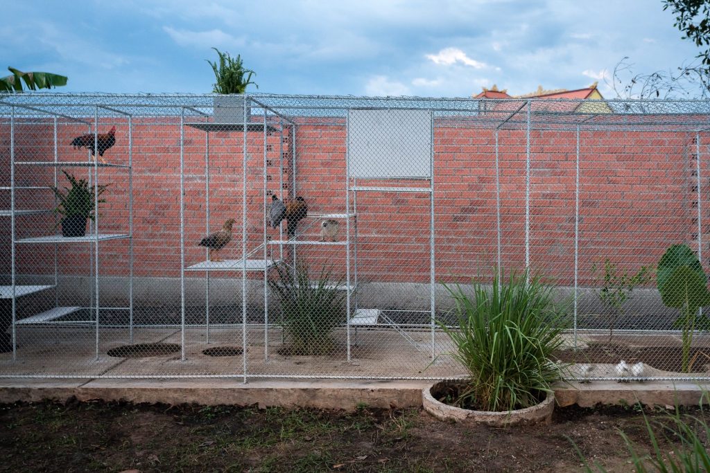 The full length of the coop against the wall