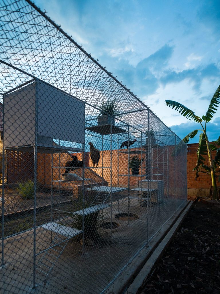 The mesh enclosure at dusk