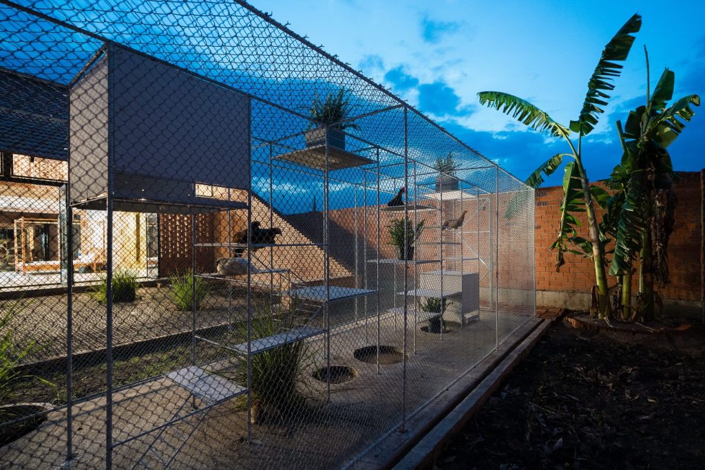The coop lit at dusk with a banana plant