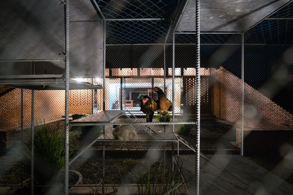 Interior of the coop at night